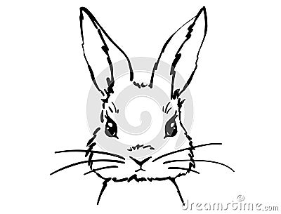 easter bunny head. Rabbit home sign decor Vector Illustration