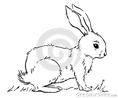 Easter Bunny. Rabbit home sign decor. Cute animals Vector Illustration