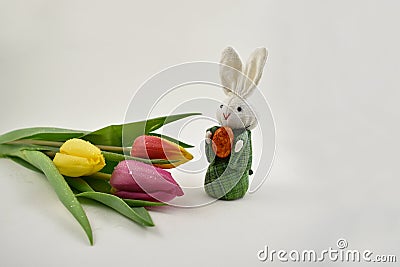 Easter Bunny with tulips stock images Stock Photo