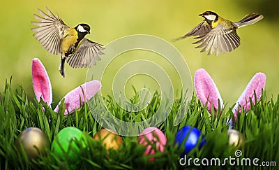 Easter card with two chickadee birds flying in spring sunrise Sunny day over Stock Photo