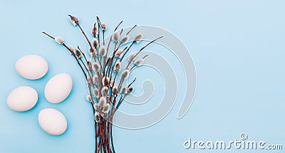 Easter card. Fluffy blossoming tree branches and white eggs on a blue background. Empty space for text. View from above Stock Photo