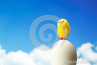 Easter chick Stock Photo