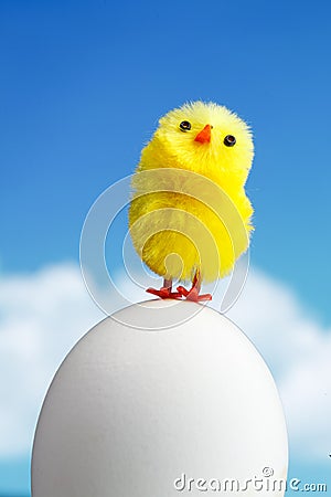 Easter chick Stock Photo