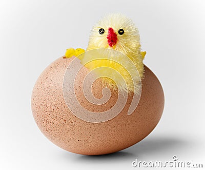 Easter chicken hatching out of egg Stock Photo