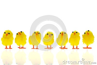 Easter chicks Stock Photo