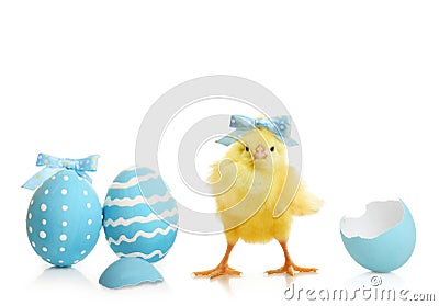 Easter colorful eggs with flowers Stock Photo