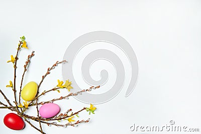 The border is made of branches of forsythia with yellow flowers, willow with fluffy buds and colored eggs on a white background. Stock Photo