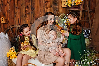 Easter composition. A family on a farm with a wooden background and hay poses with ducklings. Three girls with their mother play Stock Photo