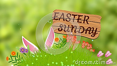 Easter concept image with green grass, different flowers, rabbit ears and wooden board Stock Photo