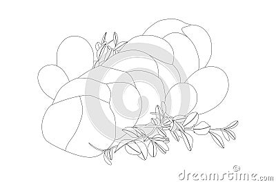Sweet braided homemade bread with four easter eggs and twig with leaves decorated isolated black outlines Vector Illustration