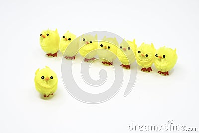 Cute little Easter chicks standing in a row Stock Photo