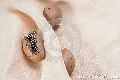 Easter decorations feathers og quail eggs, light fabric. Stock Photo