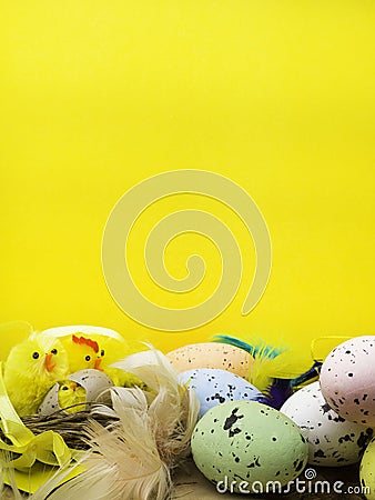 Easter decorative composition with yellow chickens nest, color eggs and colorful feathers on wooden board Stock Photo
