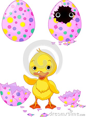 Easter duckling Vector Illustration