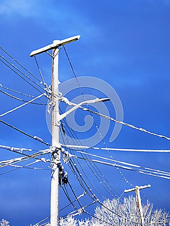 Nor easter dumped snow on telephone poles Stock Photo