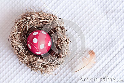 Easter egg in birds nest on checkered white background Stock Photo