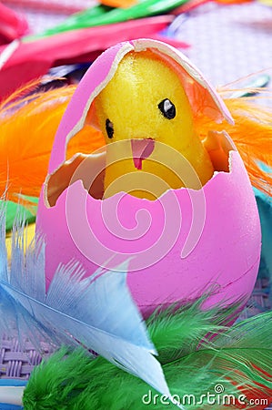 Easter egg and chick Stock Photo