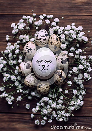 Easter egg with drawn cute face surrounded with quial eggs in nest of gypsophila flowers Stock Photo