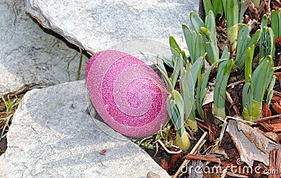 Easter Egg hunt Stock Photo