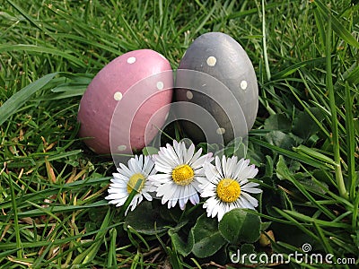 Easter egg hunt eggs in grass with daisy stock, photo, photograph, image, picture Stock Photo