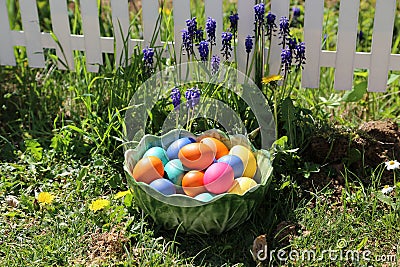 Easter eggs in a bowl in a garden Stock Photo