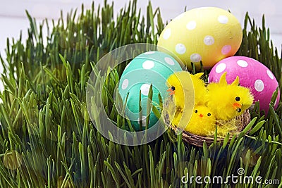 Easter eggs with decorative chicken in fresh green grass. Stock Photo