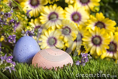Easter Eggs in Grass Stock Photo