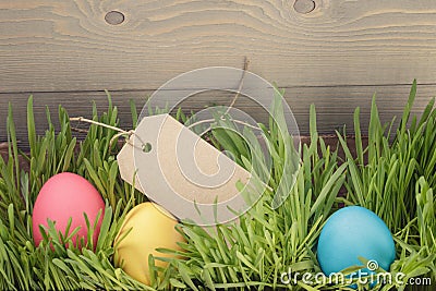 Easter eggs hiden in grass border composition Stock Photo