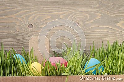 Easter eggs hiden in grass border composition Stock Photo