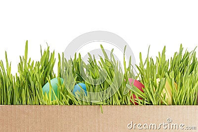 Easter eggs hiden in grass Stock Photo