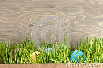 Easter eggs hiden in grass Stock Photo