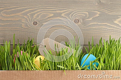Easter eggs hiden in grass Stock Photo