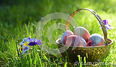 Easter eggs on the morning grass Stock Photo