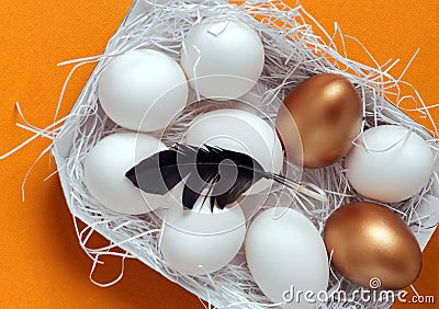 Easter eggs in the nest Stock Photo