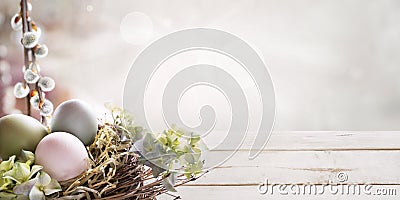 Easter eggs with pussy willow in spring Stock Photo