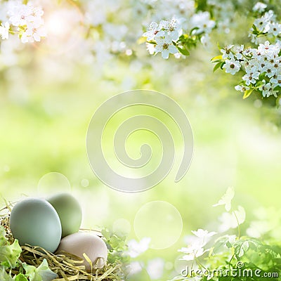 Easter eggs with spring blossoms Stock Photo