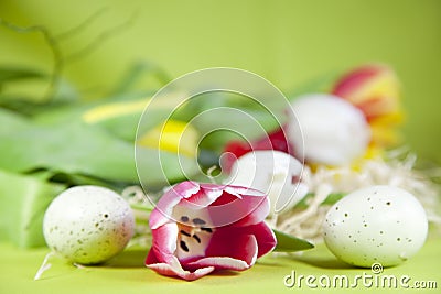 Easter eggs with tulip Stock Photo