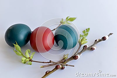 Easter eggs and willow branches are on the table Stock Photo