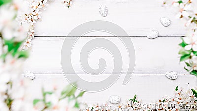 Easter eggs wood. April floral nature, white happy easter eggs on wood spring background. Easter pattern with place for Stock Photo