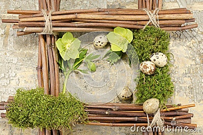 Easter frame with vintage background and five boiled quail eggs plus two hellebore flowers Stock Photo