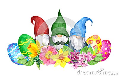 Easter gnomes with decorated colored eggs, spring flowers narcissus, hyacinth . Watercolor for springtime holiday Stock Photo