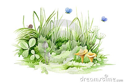 Easter green grass with cute mushrooms and butterflies close up watercolor illustration. Lush spring grass - meadow element. Backg Cartoon Illustration