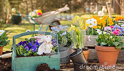 Easter handmade decoration with spring flowers and bunny at home Stock Photo