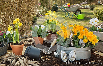 Easter handmade decoration with spring flowers and bunny at home Stock Photo