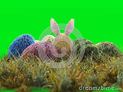 Easter holiday eggs color isolate Stock Photo