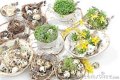 Easter home decoration quail eggs forsythia flowers Stock Photo