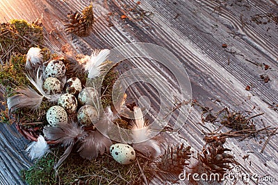 Easter letter decorated with quail eggs , gnezom , moss , feathers , pine cones and twigs of willow on wooden background Stock Photo