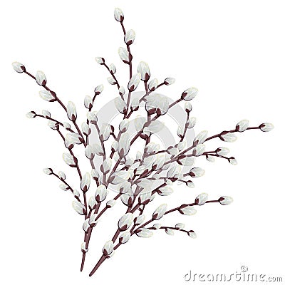 Easter pussy willows branches. Vector Vector Illustration