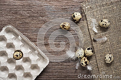 Easter. Quail eggs with feathers on a wooden surface. Stock Photo