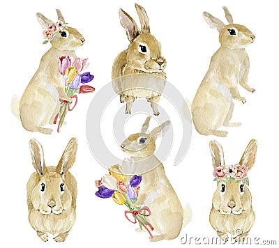 Easter rabbit clipart set. Hand drawn watercolor animal forest with flowers. Watercolor painting cute funny bunny. Baby Stock Photo